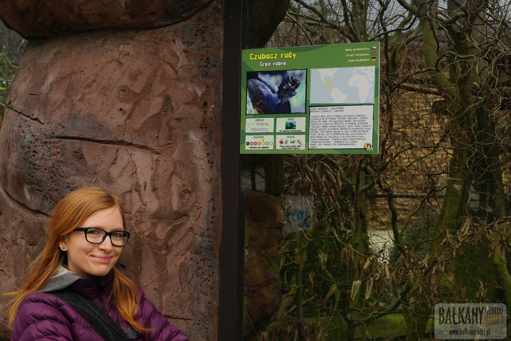 Opolskie Zoo