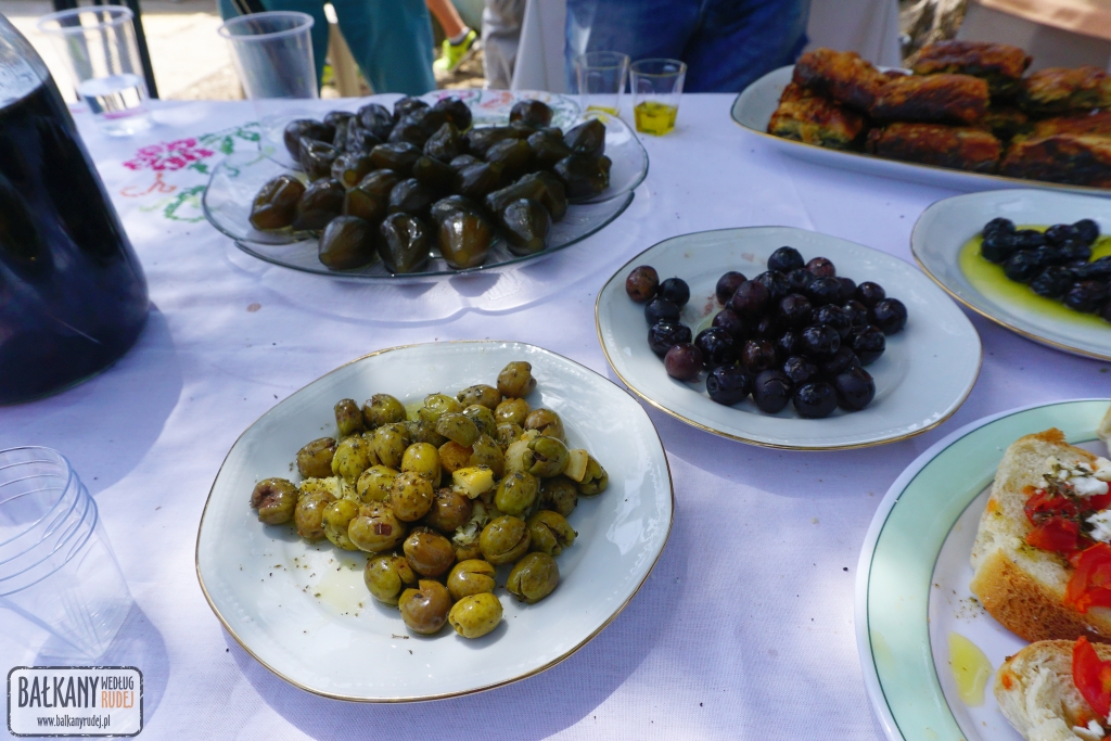 albańska oliwa