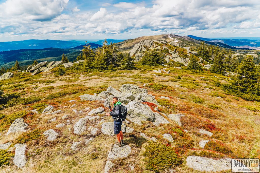 Kopaonik