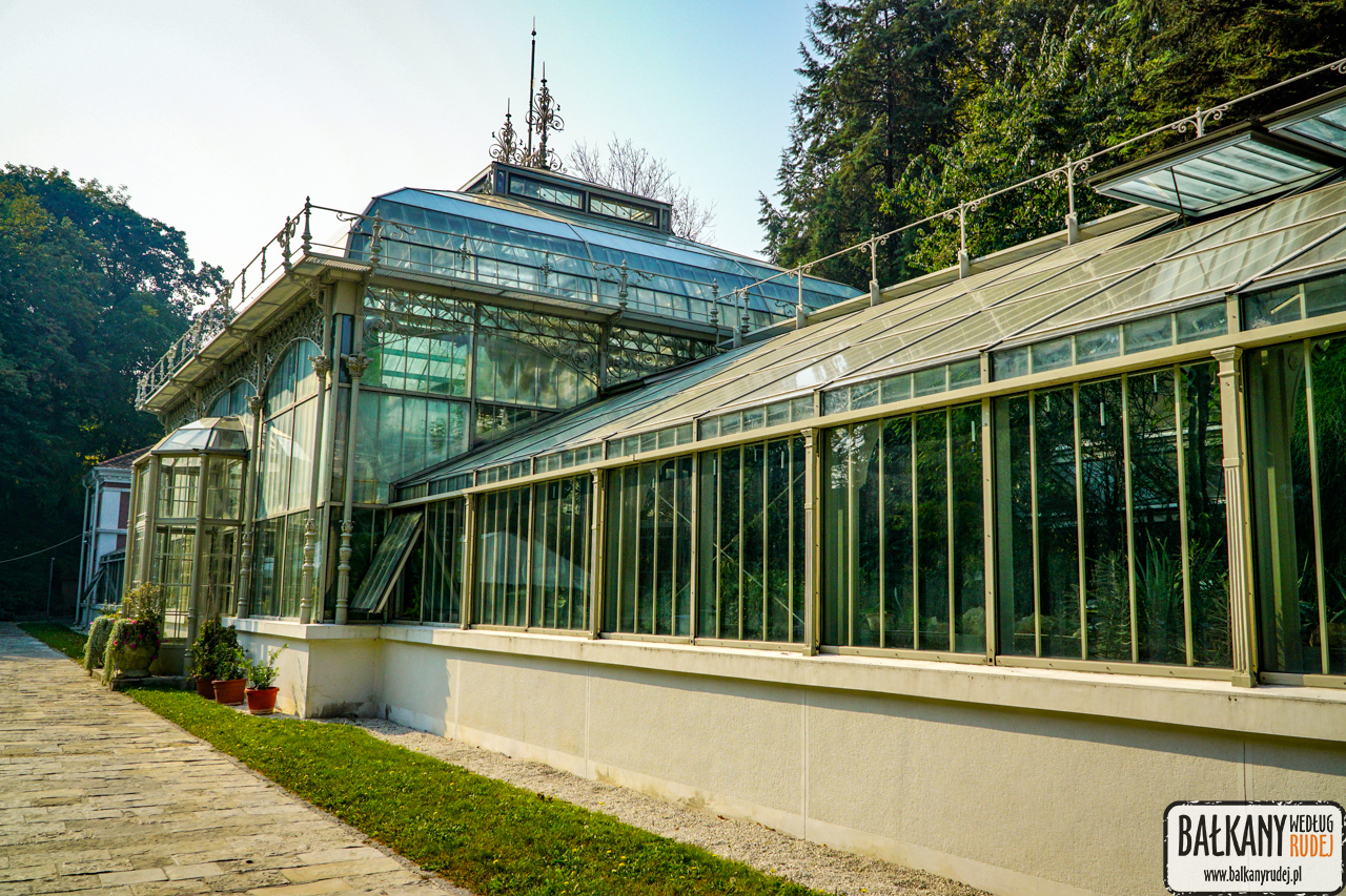 ogród botaniczny Belgrad